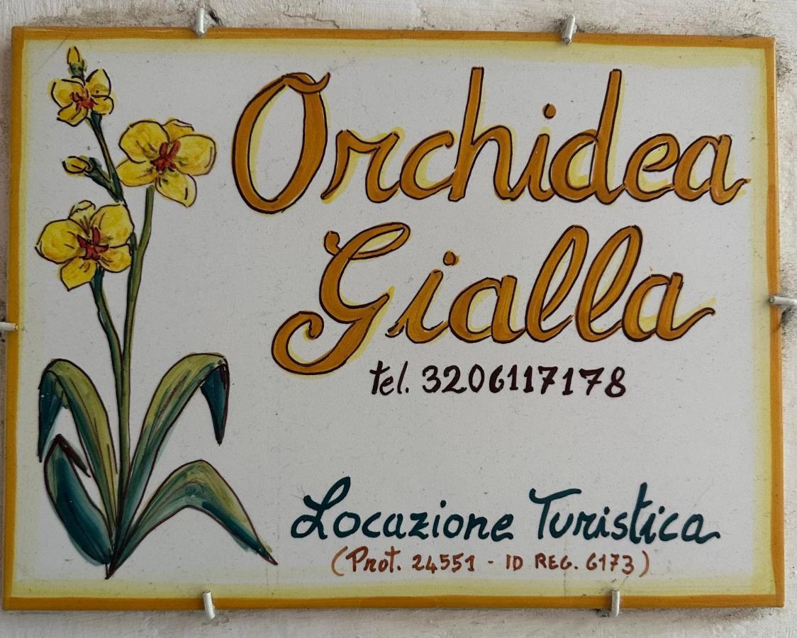 Orchidea Gialla Gaeta Exterior foto